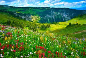 Spring Outdoors 1468 x 1000 wallpaper