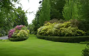 Spring Park 1440 x 900 wallpaper