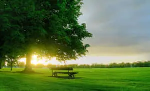 Majestic Spring Sunrise