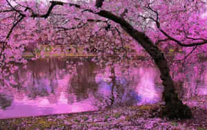 Spring Water 3469 x 2168 wallpaper