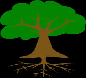 Stylized Tree Graphicwith Roots