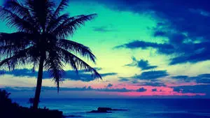 Sunrise Nature By The Beach