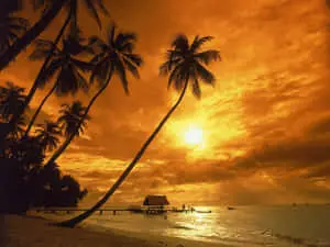 Begin each day with a beautiful sunrise