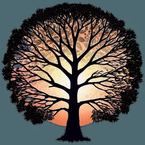 Sunrise Tree Outline PNG 58