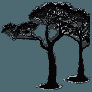 Sunrise Tree Outline PNG buc