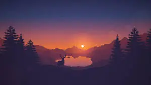 Enjoying the beauty of nature at sunset