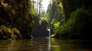 Breathtaking Nature Scenery