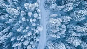 Stunning Nature in High Resolution
