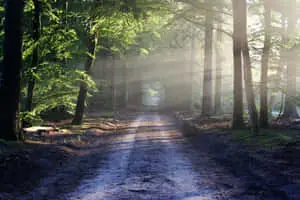 Enjoy the beauty of nature with this stunning super-high resolution image