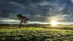 Beauty of Nature in Super High Resolution