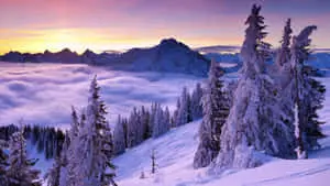 Witness the Majestic Unspoiled Landscape of Nature