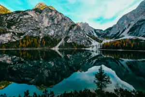 Unbelievable Detail in Super High Resolution Nature Image