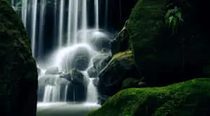 Make space in your heart for the wondrousness of nature. 