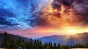 Enjoy the calming beauty of nature