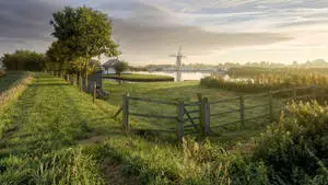 The Norfolk Broads In Thurne, England