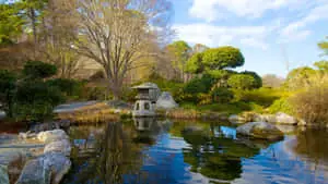 The Pond In The Norfolk Botanical Garden