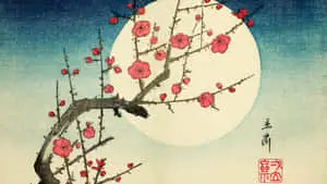 a cherry blossom tree with a full moon