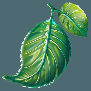 Transparent Leaf PNG 05032024