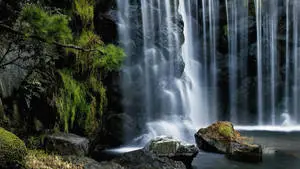 Tropical Rock HD Waterfall