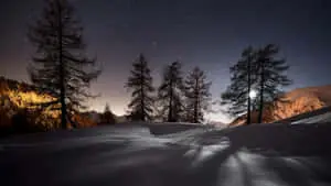 Enjoy the Beautiful Clear View of Nature