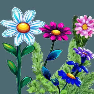 Vibrant Flower Garden Picture PNG 75