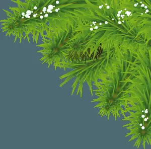 Vibrant Green Nature Background