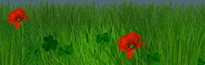 Vibrant Poppiesin Green Grass