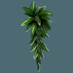 Wall Hanging Plant PNG 18