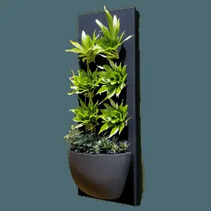 Wall Planter PNG pns