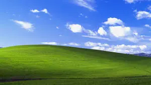 Explore the natural beauty of Windows XP
