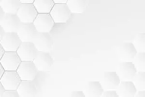 A White Hd Wallpaper Displaying a Nature Scene