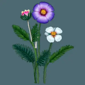"Wild Wonders: Natural Flower PNG" b