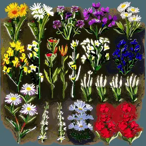 Wildflowers in Bloom PNG 54