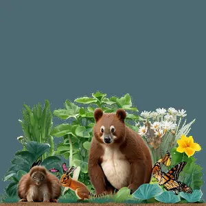 Wildlife-Friendly Garden PNG 72